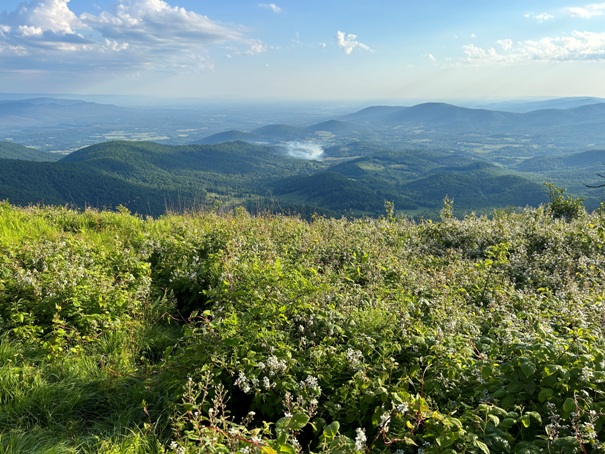 hogback mountain