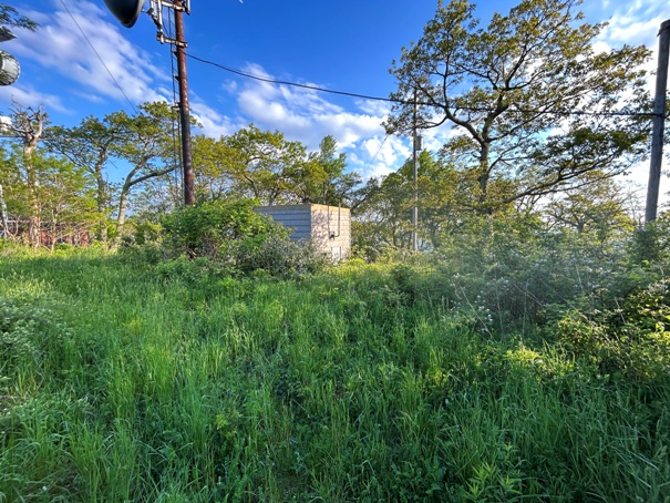 hogback mountain