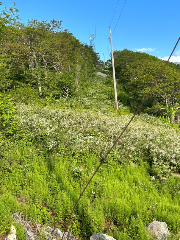 hogback mountain