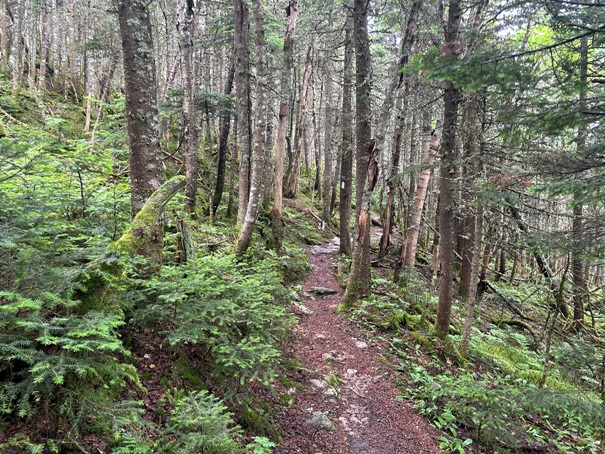 Killington Peak