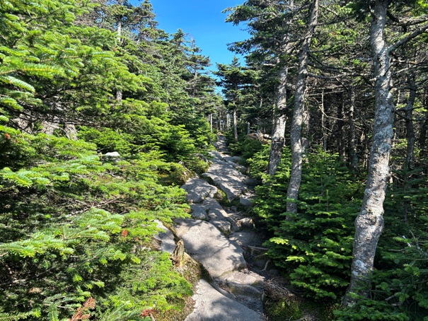 Moosilauke mountain