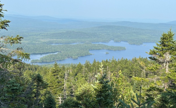 Bald Mountain Pond