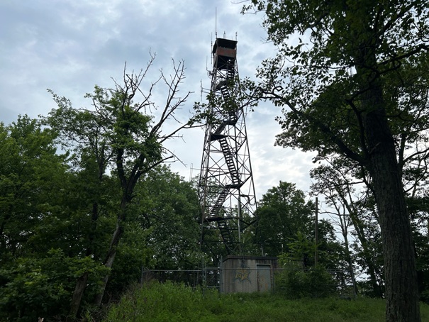 mount dunlop tower