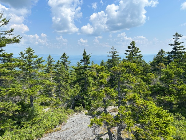 Pleasant Pond Mountain 