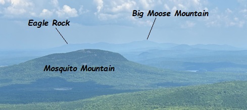 mosquito mountain