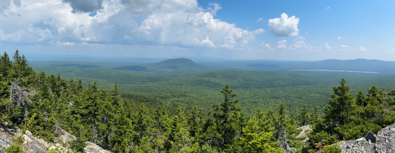 Pleasant Pond Mountain 