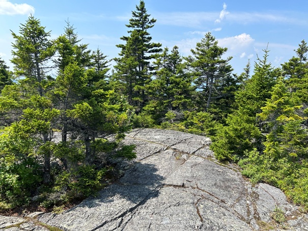 Pleasant Pond Mountain 