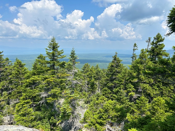 Pleasant Pond Mountain 