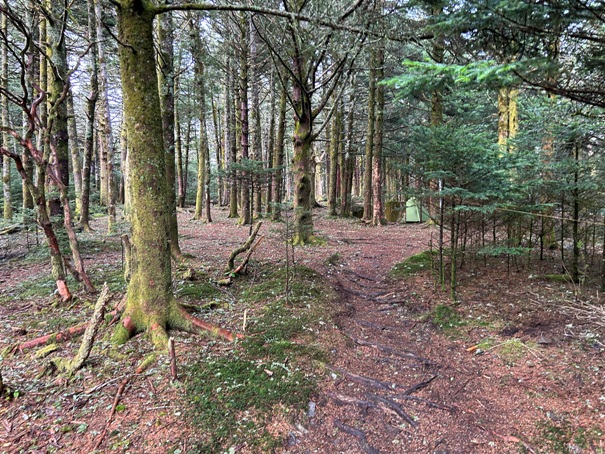 Roan High Knob