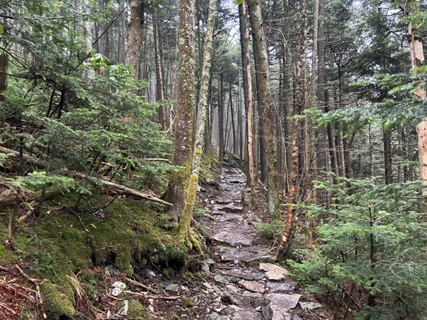 Roan High Knob