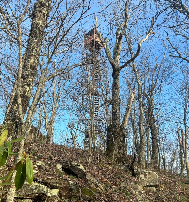 Shuckstack Lookout