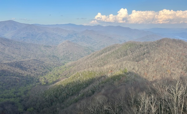 Shuckstack Lookout