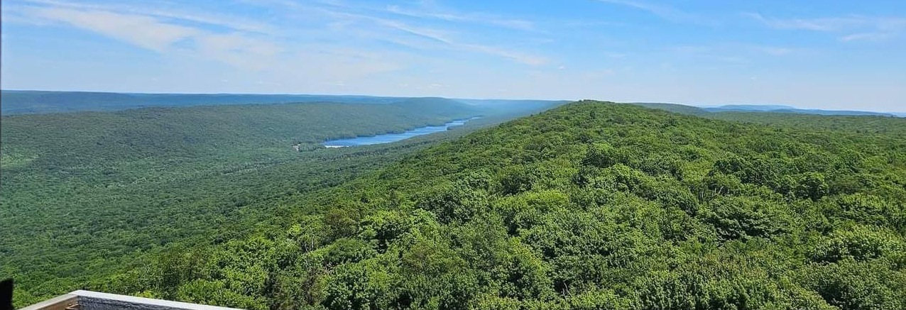 Stony Mountain lookout