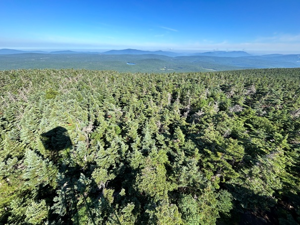 Killington Peak 