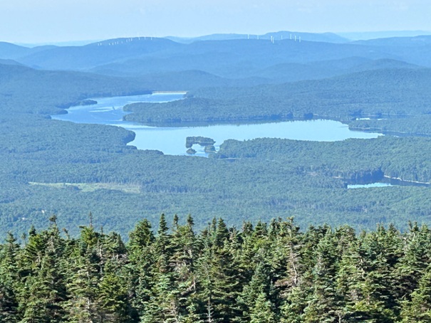 Gale Meadows Pond