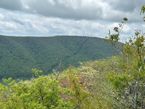 Sugar Run Mountain 