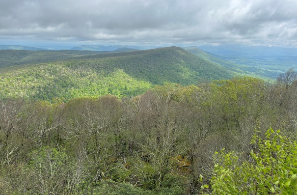 Sugar Run Mountain 