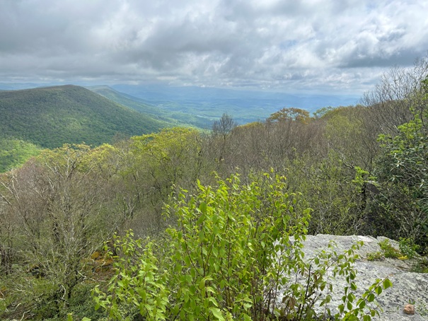 Sugar Run Mountain 