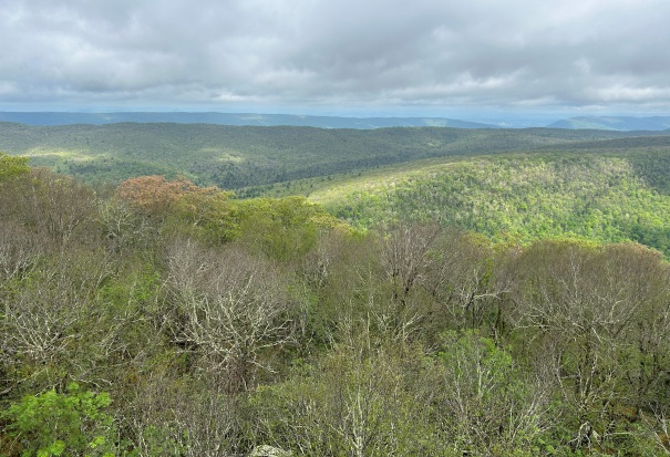 Sugar Run Mountain 