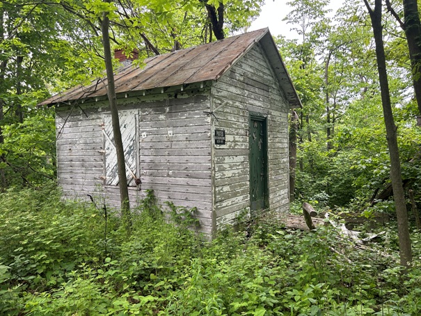 trico fire tower