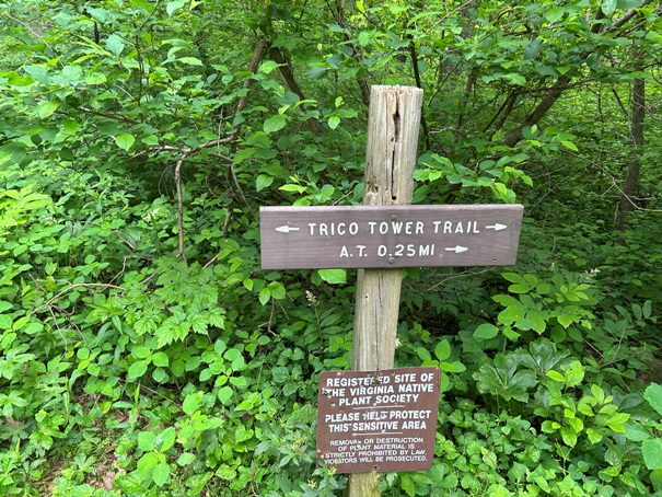 trico fire tower