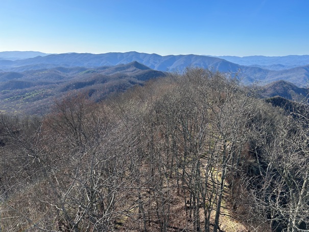 Wesser Bald Lookout