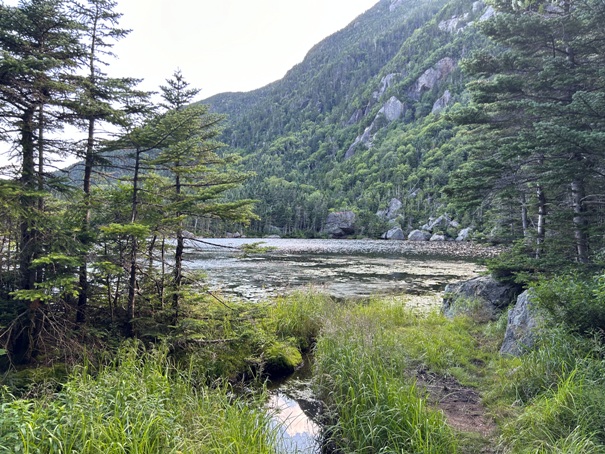 Carter Notch