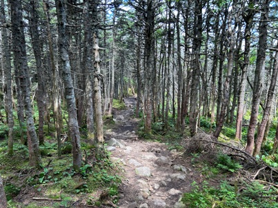 franconia ridge