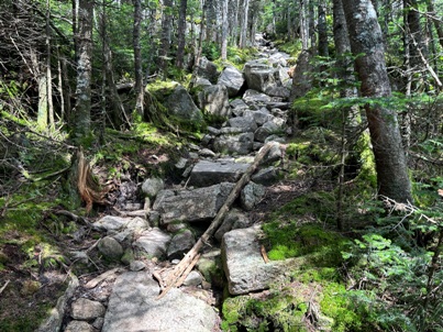 franconia ridge