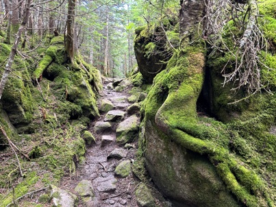 franconia ridge