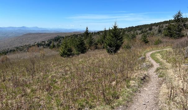 grayson highlands