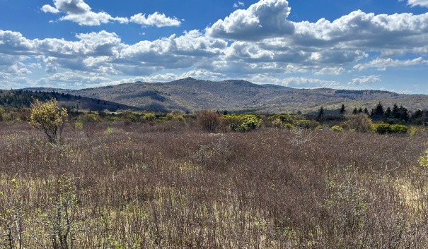 grayson highlands