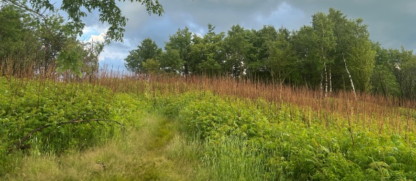 appalachian trail