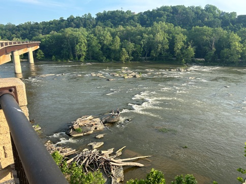 Shenandoah River 