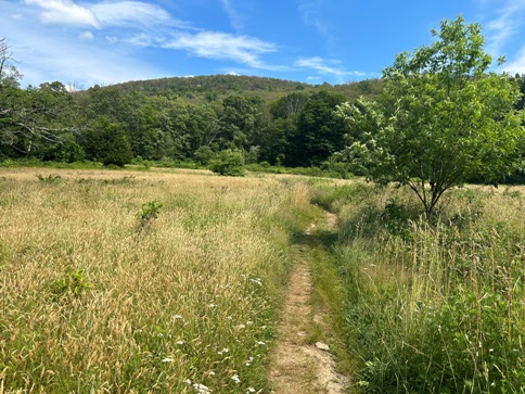 appalachian trail