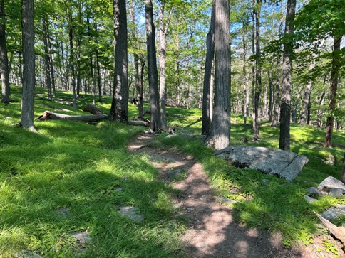 Harriman State Park