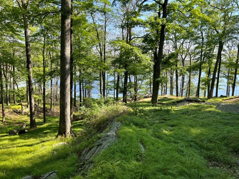 Harriman State Park