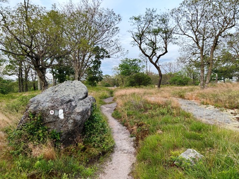 Harriman State Park