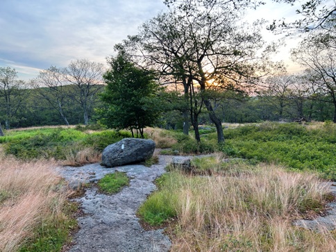 Harriman State Park