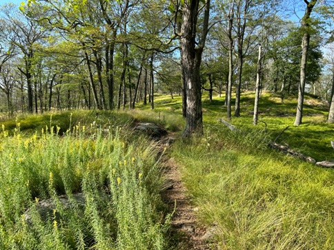 Harriman State Park