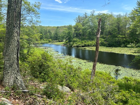 Little Dam Lake