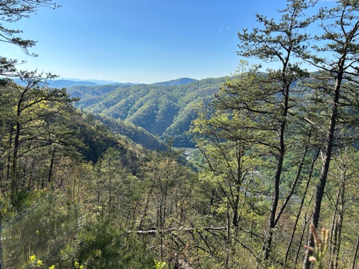 French Broad River 