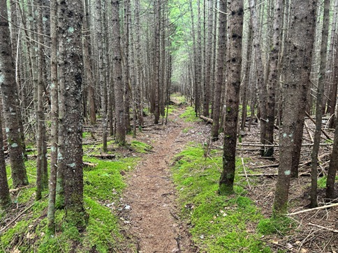 appalachian trail