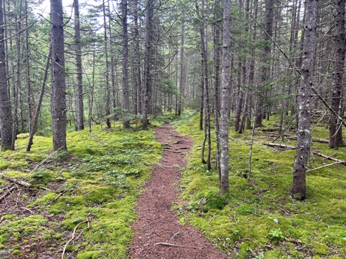 appalachian trail