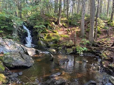 Pierce Pond stream