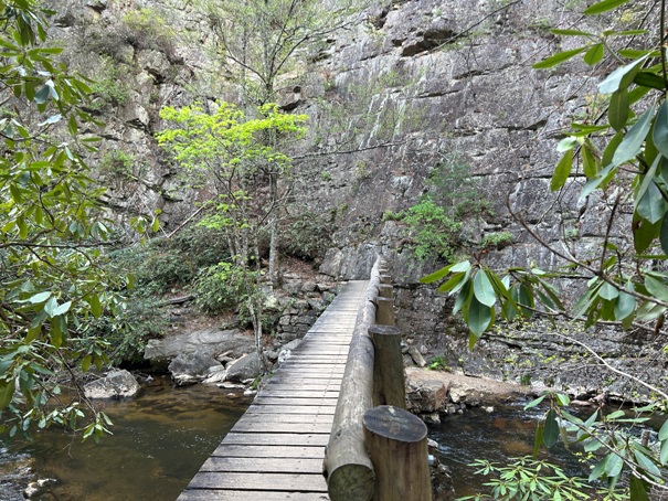 Laural Fork River