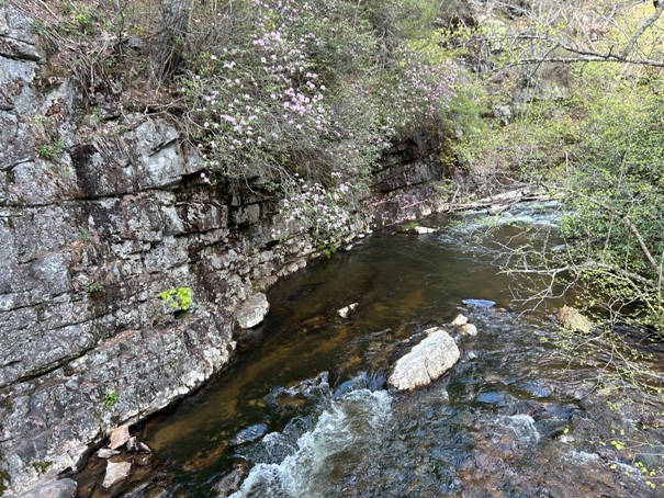 Laural Fork River