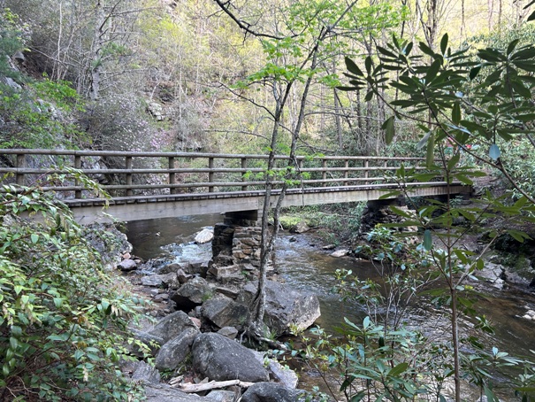 Laural Fork River