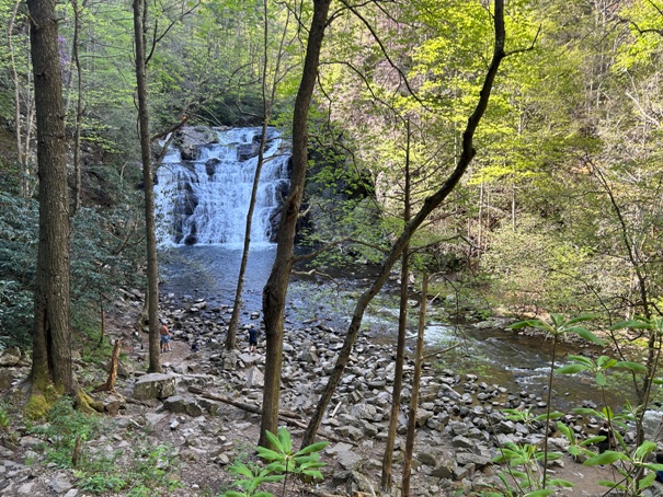 Laural Fork Falls