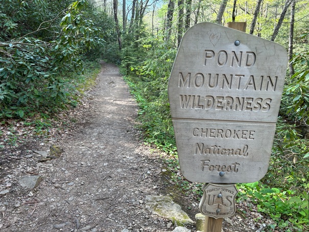 Pond Mountain Wilderness 